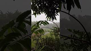 বৃষ্টির সাথে আযানের মধুর সম্পর্ক #azan #beautiful #rain #shorts #reelsvideo #nature #love #village