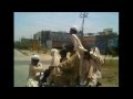 Funny video cilip