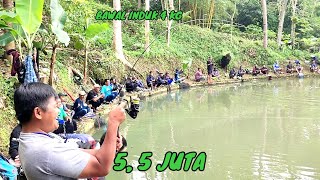 Tak Terkendalikan Tarikan Bawal Babon 4 Kg!! Reel Sampe Teriak @Mancing Borongan