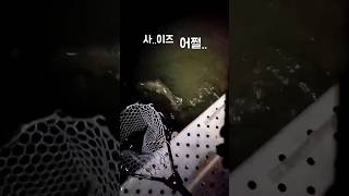 야간 밤낚시중에 만나는 슈퍼송어 #shorts #루어낚시 #troutfishing