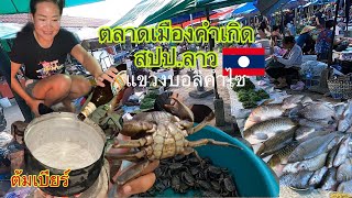 เลาะตลาดเมืองคำเกิด สปป.ลาว สาวลาว ทำเมนูเด็ดให้กิน ของป่าอาหารวิถีชาวลาว