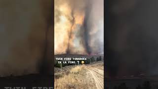 Nature is scary when it gets angry! Save lives, Save Earth! #latestnews #wildfire #nature