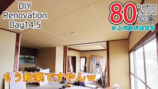 80万円の家　これ新築やん！　14.5日目　DIYリノベーション