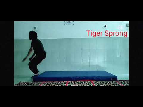 Tiger Sprong_Lompat Harimau - YouTube