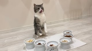 大好きなおやつを食べ放題にしてみたら猫が大喜びでこうなっちゃいました…笑