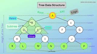 Tree Data Structure Visualization in 60 Second | Step by Step Animated Guide