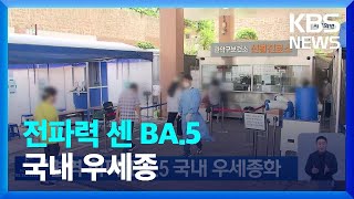 ‘면역 회피’ BA.5 국내 우세종화 / KBS  2022.08.02.