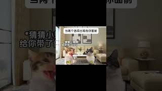 #猫meme #cat #猫meme小剧场 #猫meme剧场