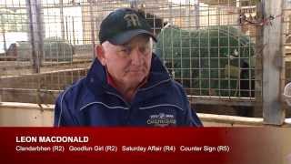 The Races TV | 19 July 2013 | Leon Macdonald's chances, Morphettville and Port Augusta previews The Races TV | 19 July 2013 | Leon Macdonald's chances, Morphettville and Port Augusta previews