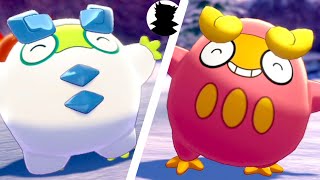 【Pokemon_Camp】Darumaka・Darmanitan（Unova/Galar）＆Shiny Evolution