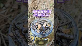 토종벌 월동식량 6천원으로 해결