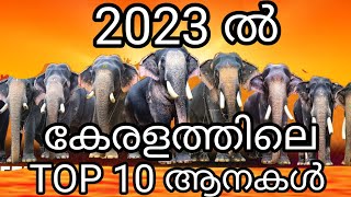 Top 10 famous elephants in kerala 2023 | രാമനെ വീഴ്ത്തിയ കാളിയും, കാളിയെ വീഴ്ത്താൻ ഗോപാലകൃഷ്ണനും