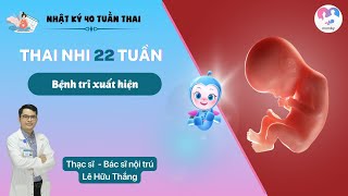 Thai 22 tuần: Bệnh trĩ xuất hiện | Sự phát triển của thai nhi tuần thứ 22 | Bs. Lê Hữu Thắng