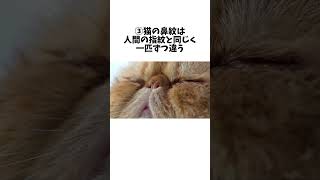 8割が知らない猫の豆知識 #雑学 #豆知識 #猫