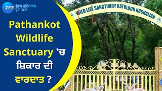 Pathankot Wildlife Sanctuary 'ਚ ਸ਼ਿਕਾਰ ਦੀ ਵਾਰਦਾਤ ? | ZeePHH