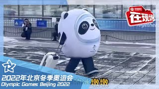 冰墩墩打雪仗摔大马趴 离家出走没人拦又独自返回 | 北京2022冬奥会 Winter Olympic Games Beijing 2022