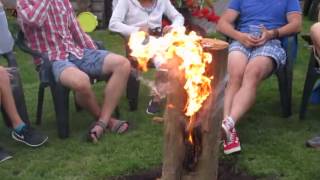 MVI 4971 burning log