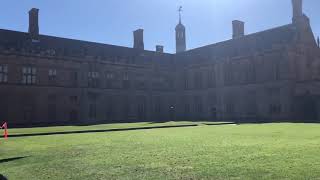 現役シドニーガイドジモティ~を行くUniversity of Sydney campus tour