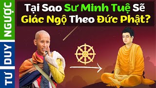 Tại Sao Sư Minh Tuệ Sẽ Giác Ngộ Theo Đức Phật? | Tư Duy Ngược