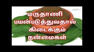 நாம் மறந்துபோன மருதாணியில் இவ்வளவு மருத்துவம் இருக்கா?