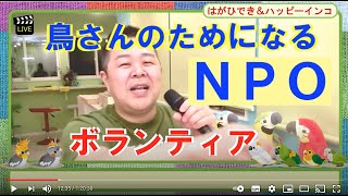 鳥さんのためになる　NPOボランティア　ハッピーインコ＆はがひでき