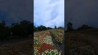 花博記念公園鶴見緑地の風車