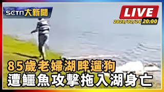 【SETN大新聞】85歲老婦湖畔遛狗 遭鱷魚攻擊拖入湖身亡｜三立新聞網 SETN.com