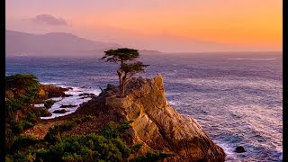 The Lone Cypress , Pebble Beach at California – Sunset View