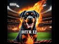 bitr 12