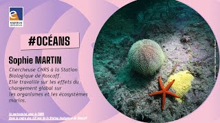 🌊 [Sophie Martin] L’acidification des océans, l’autre problème du CO2