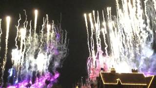 Celebrate! Tokyo Disneyland  表からじゃなくて裏から鑑賞