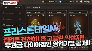 [프리스톤테일M] 레벨업 보다 소중한 다이아! 무과금도 화끈하게 다이아 벌 수 있는 영업기밀 대공개