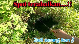 Spot terabaikan...!!            ternyata sarang ikan.#mancingmania #nginthilmancing #sarangikan