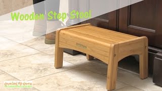 Ginsey Growing Up Green Wooden Step Stool