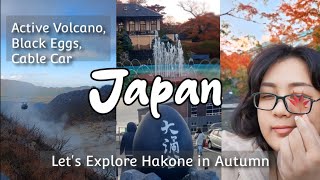 Solo in Japan: DIY Hakone Owakudani, Active Volcano, Gora Park, Cable Car, Black Egg, Ropeway Ep 5