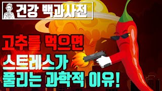 고추를 먹으면 스트레스가 풀리는 과학적 이유! 고추의 효능 @세모지