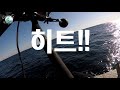 2020.11.30. 강원 삼척 임원항 대구지깅