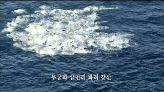 2014 애국가 KBS | 'Aegukga' National Anthem of South Korea