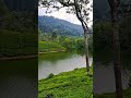 poopara kerala