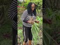 retired village mum super excited/ harvests huge leeks🙏🙏