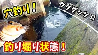 【尺アイナメ連発 ! 】水没の楽園を探れ！【穴釣り】