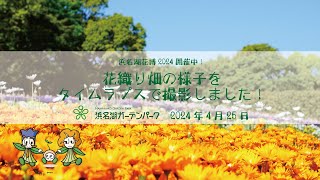 2024年4月25日　浜名湖花博2024開催中！花織り畑の様子をタイムラプスで撮影しました