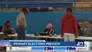 Mississippi voters discuss upcoming primary elections