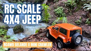 RC4WD Gelande II Black Rock rc crawler review - 1/18 mini crawler jeep