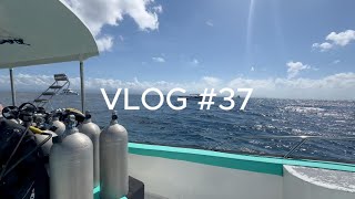 VLOG #37: PADI DUIKCURSUS, VERSLAPEN VOOR IETS BELANGRIJKS \u0026 OP DOORREIS