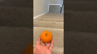 Which ringtone sound you like the most #orange #funnyvideo #viral #trending