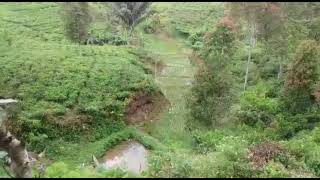 suasana indah kampung panyairan cianjur selatan