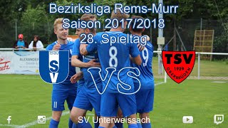 28. Spieltag 2017/2018: SVU - TSV Oberbrüden