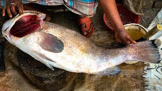 Amazingly Big Hamour Fish Cutting \u0026 Chopping At Bangladeshi Fish Market