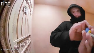 Best Security Cam Videos Ever